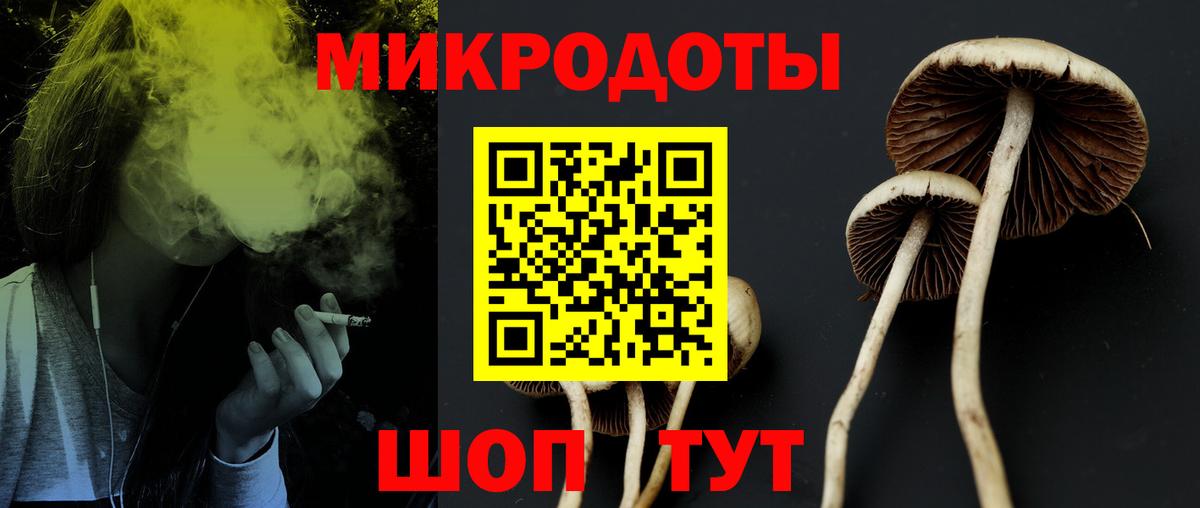 Галлюциногенные грибы ЛСД  Вход с VPN  Приморско-Ахтарск  Псилоцибиновые грибы Magic Shrooms 